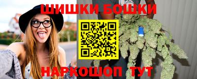 шишки Дубна