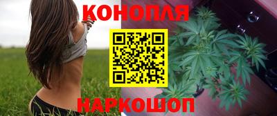 шишки Дубна