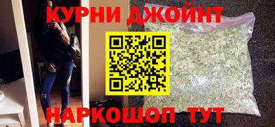 шишки Дубна