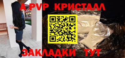 шишки Дубна