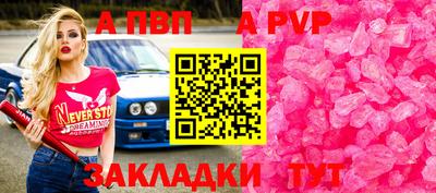 шишки Дубна