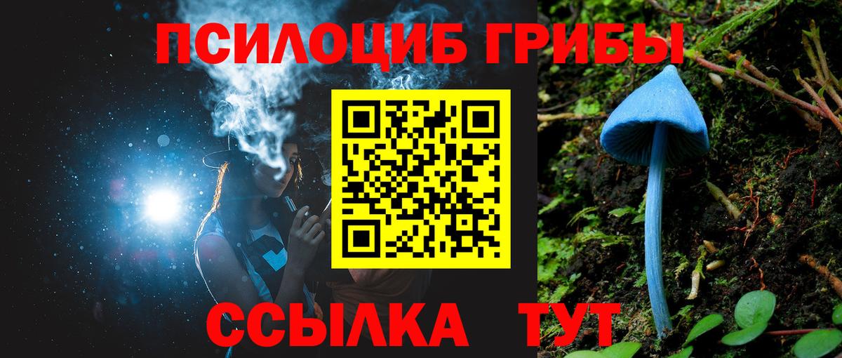 Псилоцибиновые грибы MAGIC MUSHROOMS  Вход с VPN  Гагарин  Галлюциногенные грибы Psilocybine cubensis 